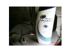 Quackys-head-shoulders-die-vorderansicht