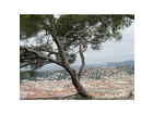 Ueber-den-daechern-von-nizza-vom-schlossberg