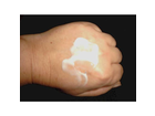 Dove-handcreme-regeneration
