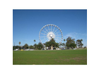 Riesenrad-am-swan-river-perth