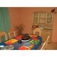Karin-in-unserem-ehemaligem-esszimmer