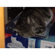 Immerhin-kann-man-auf-der-packung-gut-schlafen