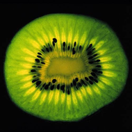 Corinne-cobson-kiwi