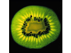 Corinne-cobson-kiwi
