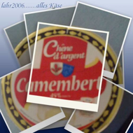 Lidl-chene-d-argent-camembert