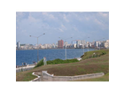 Skyline-havanna