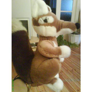 Der-herr-fuchs