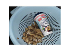 Quackys-dr-oetker-sahne-test