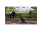 Ghost-dog-und-pearline