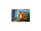 Cap-und-capper-dvd