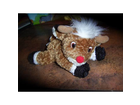 Rudolph-mit-der-roten-nase-vhs