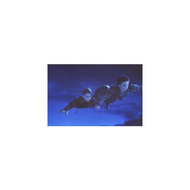 Der-kleine-vampir-2000-dvd