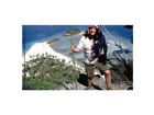 Chuck-erkundet-die-landschaft-der-insel