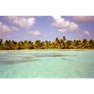 La-piscina-natural-die-grosse-badewanne