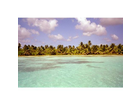 La-piscina-natural-die-grosse-badewanne