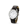 Philip-watch-prestige-blaze-r8251165045