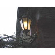 Sie-leuchtet-schoen