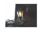 Sie-leuchtet-schoen