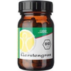 Gse-vertrieb-bio-gerstengras-pulver