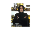 Harry-potter-und-der-stein-der-weisen-gebundene-ausgabe-joanne-k-rowling