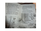 Eine-doppelseite-aus-dem-buch