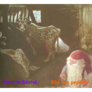 Tomte-im-kuhstall
