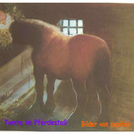 Tomte-im-pferdestall