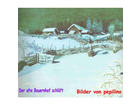 Der-alte-bauernhof-schlaeft