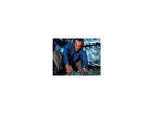 Jack-nicholson-als-werwolf-in-wolf-quelle-www-moviesection-de