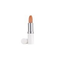 Elizabeth-arden-basic-care-nr-01-honey-8-hour-lip-protection-stick-lippenpflegestift-3-7-g