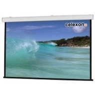 Celexon-expert-line-250x250cm