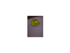 Ambi-pur-flush-wc-stein-starter-limone