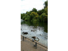Der-blick-auf-eine-der-inseln-im-st-james-park