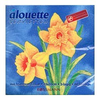 Alouette-servietten-gelbe-osterglocken-auf-blauem-grund