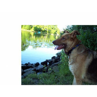 Skyla-am-wasser