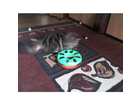 Trixie-cat-track