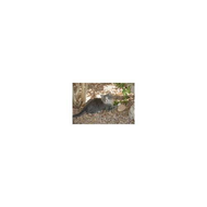 Zufriedene-katze-mit-catsan-klumpstreu