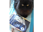 Die-tuete-und-mein-erwartungsvoller-suesser-kater