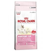 Royal-canin-babycat-34-4-kg