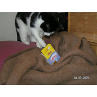 Max-na-also-klappt-doch