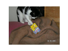 Max-na-also-klappt-doch