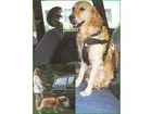 Trixie-sicherheitsgurt-fuer-hunde-gr-l-brustumfang-70-90-cm
