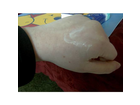 Und-noch-mal-auf-der-hand