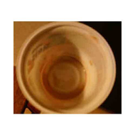 Becher-nachher-lecker