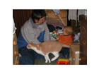 Wer-rennt-denn-da-durchs-bild-der-katzensprung-ist-gestochen-scharf