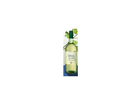 Gruener-veltliner