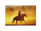Westernreiten