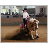 Westernreiten