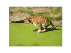 Allwetterzoo-muenster