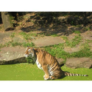 Allwetterzoo-muenster